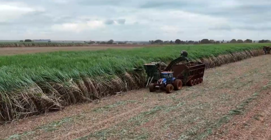 Com sede em Frutal, no Triângulo Mineiro, Cerradão produz açúcar, etanol e bioenergia. | Foto: Divulgação/ Cerradão