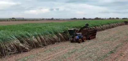 Rabobank fecha operação verde para expansão da Cerradão no Triângulo Mineiro