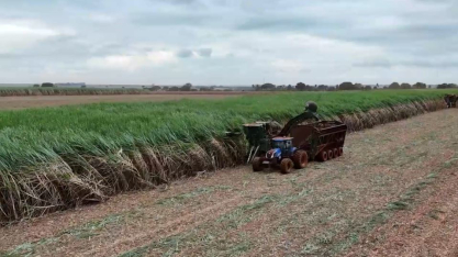 Rabobank fecha operação verde para expansão da Cerradão no Triângulo Mineiro