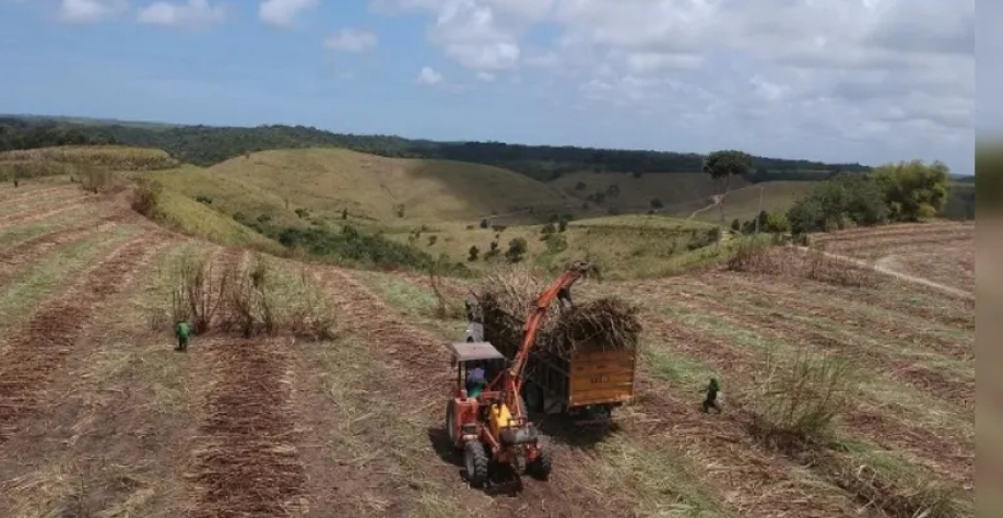 Dados são do relatório do Sindaçúcar divulgados nesta quarta-feira (3) - Foto: Reprodução 
