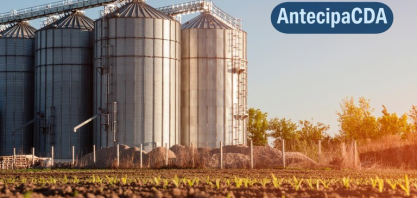 Novo sistema da Conab reduz emissão do Código do Armazém para até 15 dias