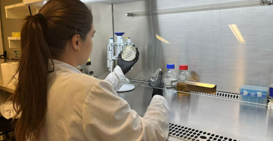 (Foto: Bruna Fernande e Mariane Daniella da Silva) -