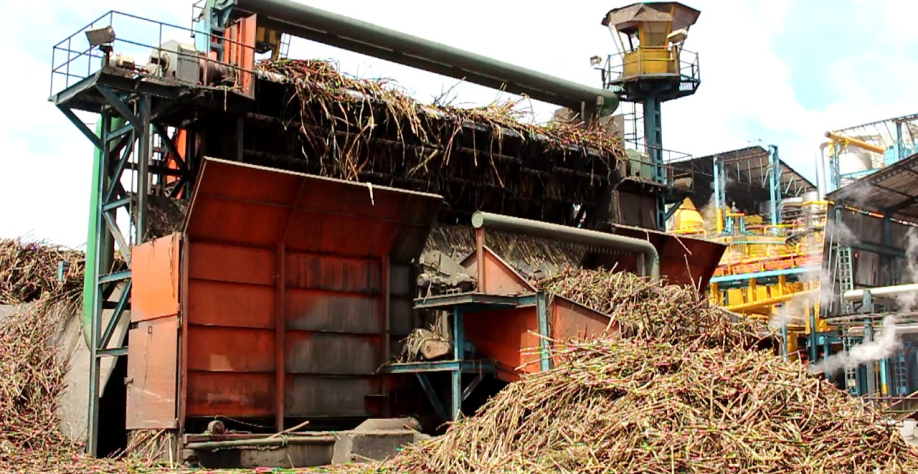 Safra 25/26 tem variação positiva de 1,8% na produção de etanol em Alagoas - Foto: Reprodução