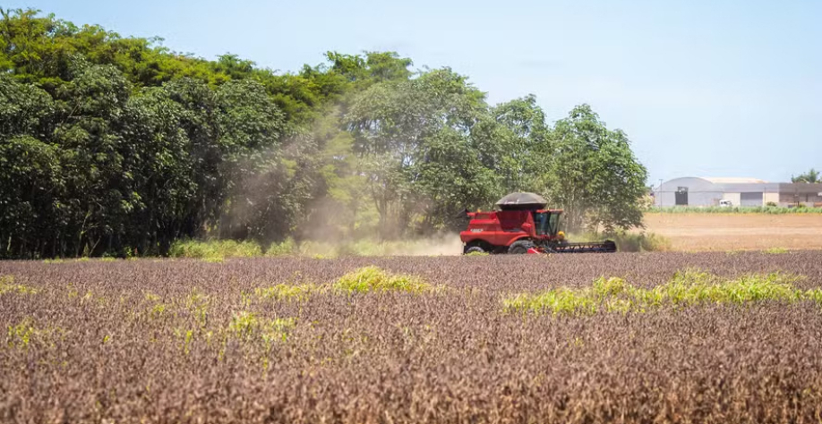 Apenas 48% dos R$ 12 bilhões disponibilizados pela União foram renegociados pelos produtores; recursos poderão ser acessados até 10 de fevereiro — Foto: Wenderson Araújo/CNA