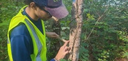 Área da Alcoolvale mantém alta diversidade do Cerrado