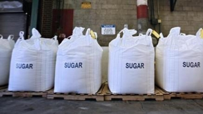 Açúcar/Cepea: Negócios voltam a ganhar ritmo; preços seguem em queda