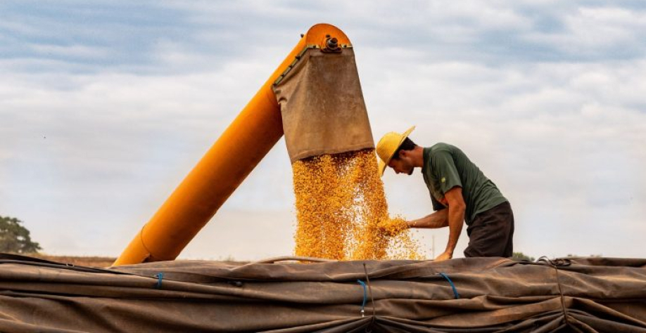 Produtor rural acompanhando a colheita no campo. Diego Sene/Getty Images