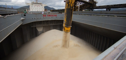 Exportações brasileiras de açúcar recuam em 2025, mas alcançam segundo maior volume histórico