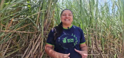 São José Agroindustrial investe em variedades de cana responsívas a solos e ambientes restritivos