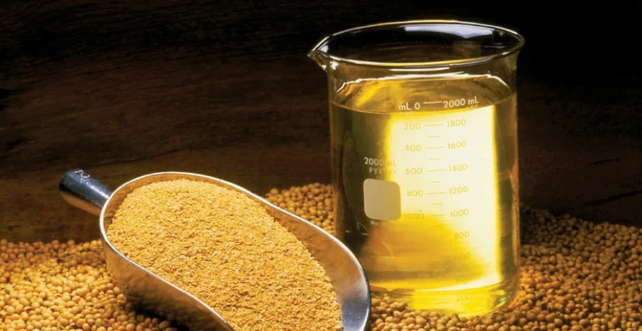 Estimativas para produção de farelo e de óleo de soja aumentaram — Foto: United Soybean Board/CCommons