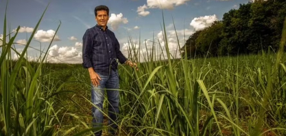 Açúcar orgânico do Brasil ainda sofre com tarifas