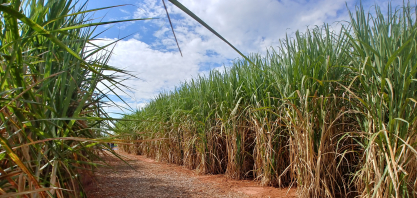 Acordo União Europeia–Brasil reforça estratégia de valor agregado nas exportações do agronegócio