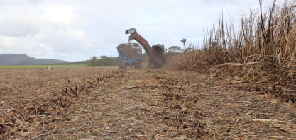 Estiagem prolongada desafia produtores de cana em Alagoas