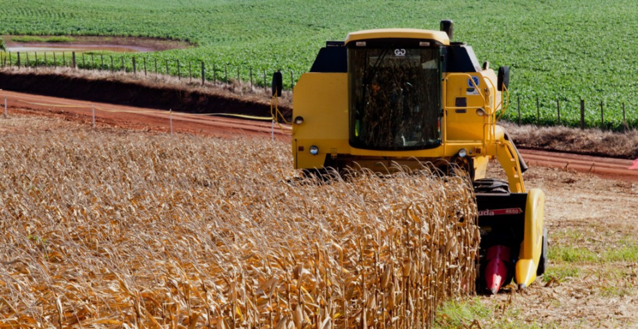 Colheitadeira em lavoura de milho, no município de Ijuí/RS (Foto Claudio Fachel/Palácio Piratini)