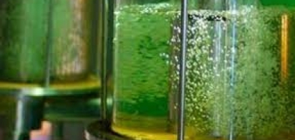 Vietnã pretende ampliar mistura de etanol à gasolina a partir de junho