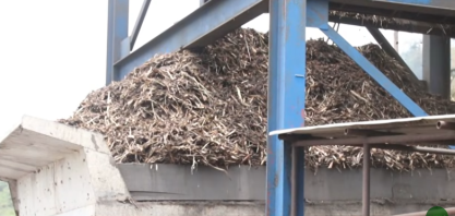 Produção de cana sofre redução devido à forte estiagem em AL