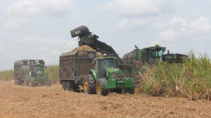 Seguindo tendência de queda no Nordeste, Paraíba enfrenta redução na produção de açúcar