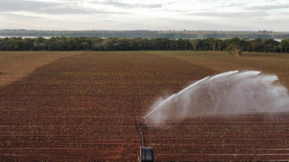Sistema nacional orienta produtor de cana a irrigar com mais precisão e menor custo