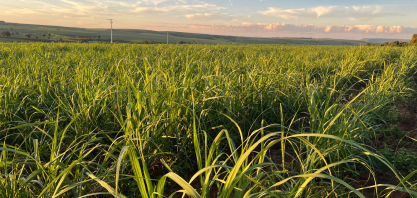 ANP publica metas preliminares de redução de emissões de gases causadores de efeito estufa para 2026