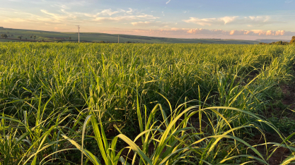 ANP publica metas preliminares de redução de emissões de gases causadores de efeito estufa para 2026