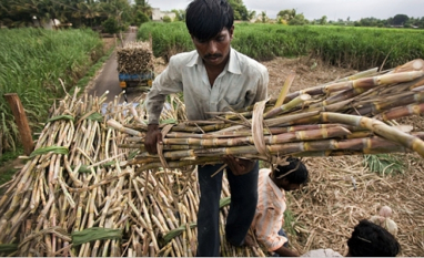 Lula e primeiro-ministro da Índia tratam de cooperação em biocombustíveis