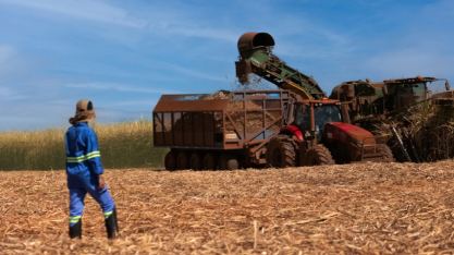 Últimos dias: Tereos mantém abertas as inscrições para o programa Jovens Engenheiros