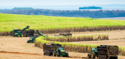 Moagem atinge 598,19 milhões de toneladas até final da primeira quinzena de dezembro