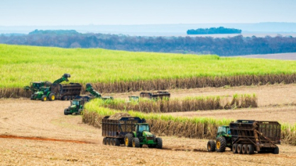 Moagem atinge 598,19 milhões de toneladas até final da primeira quinzena de dezembro