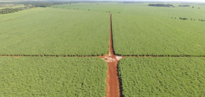 Brasil sai na frente na proposição de medidas para gestão do risco do uso da terra na produção de biocombustíveis