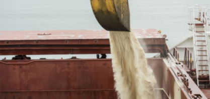 Comissão Europeia propõe suspender regime de importação de açúcar sem tarifa