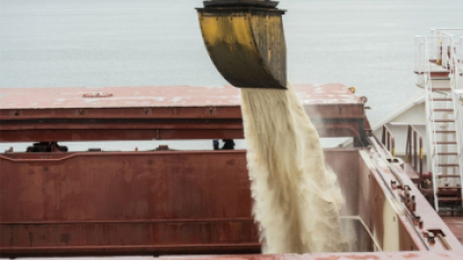 Comissão Europeia propõe suspender regime de importação de açúcar sem tarifa