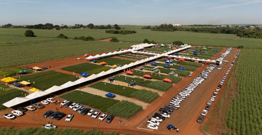 Divulgação Coplana – Dia de Campo 2025