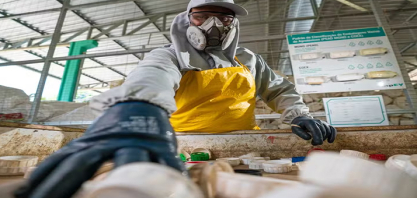 Brasil ampliou em 11% volume de embalagens de defensivos recicladas em 2025