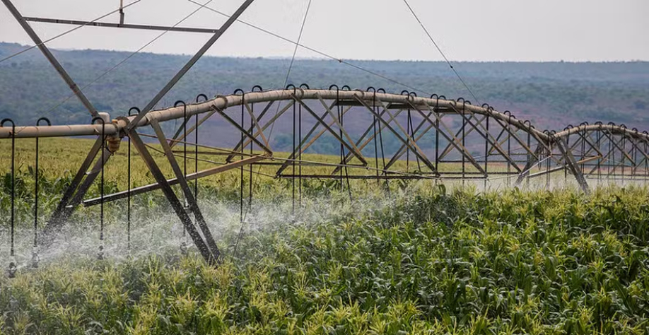 Segundo o ministério, proposta representa mais autonomia no planejamento das atividades dos produtores rurais — Foto: Wenderson Araujo/CNA