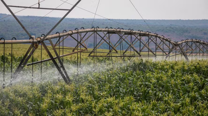 Governo propõe novas regras para descontos na tarifa de energia de irrigação e aquicultura