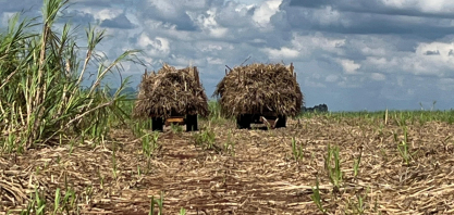 Clima deve tornar 2026 mais instável do que 2025 no Brasil