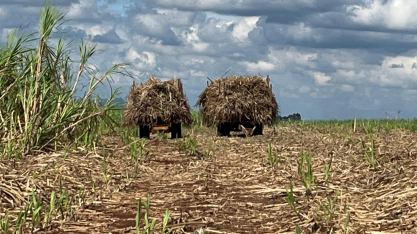 Clima deve tornar 2026 mais instável do que 2025 no Brasil