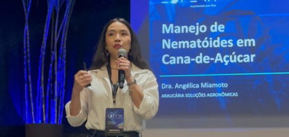 Nematóides: manejo integrado e diagnóstico sustentam produtividade da cana