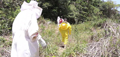 Parceria entre usina e apicultores une produção e preservação ambiental na Barra de São Miguel