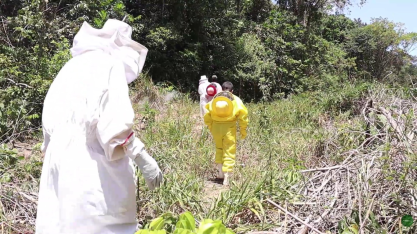 Parceria entre usina e apicultores une produção e preservação ambiental na Barra de São Miguel