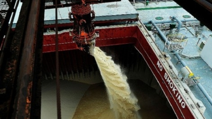 DATAGRO: Exportações brasileiras de açúcar recuam em 2025, mas atingem segundo maior volume da história