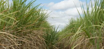 RCGI e Equinor iniciam projeto de pesquisa para captura e armazenamento de carbono
