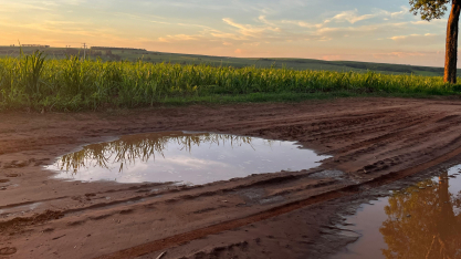 Chuvas acima de 150 mm em dezembro sustentam lavouras, mas excesso já compromete operações no campo