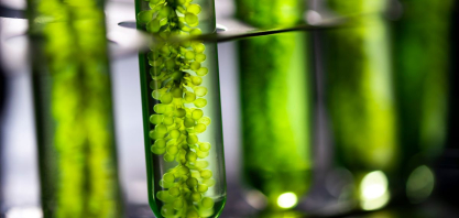 Associação quer colocar biodiesel brasileiro na vitrine mundial da transição energética