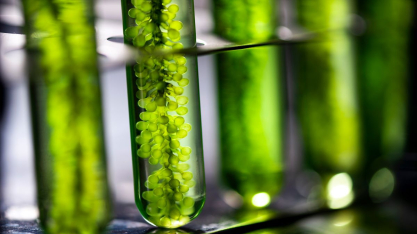 Associação quer colocar biodiesel brasileiro na vitrine mundial da transição energética