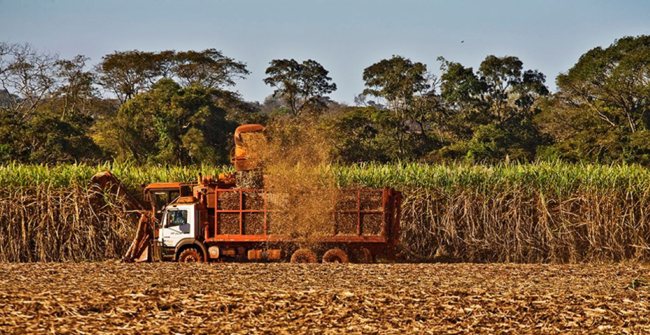 Moagem da cana-de-açúcar, um dos processos na produção de etanol. Foto: Siamig / Divulgação