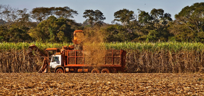 Transição energética se consolida como estratégia de mercado e etanol vira peça-chave