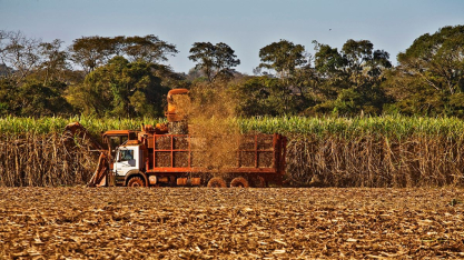 Transição energética se consolida como estratégia de mercado e etanol vira peça-chave