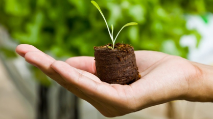 Projeto desenvolve bioinsumo multifuncional para uso em diferentes culturas agrícolas