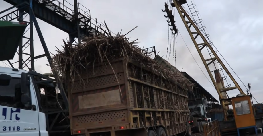 Clima seco antecipa fim da safra e reduz moagem na Usina Santa Clotilde, em Rio Largo - Foto: Reprodução/Alagoas Rural
